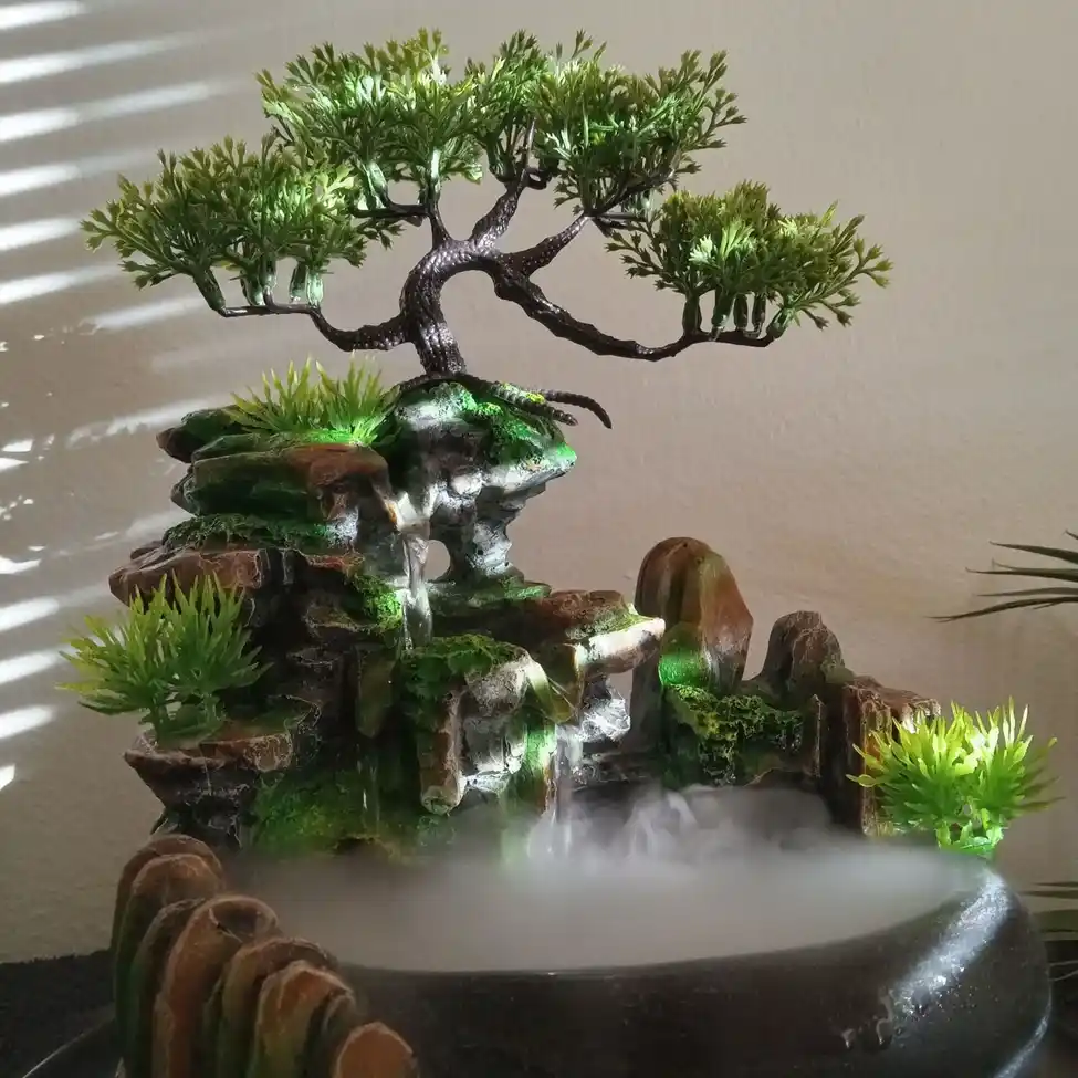 Serene interior with bonsai plant and pond at Pete Cooper Clinic