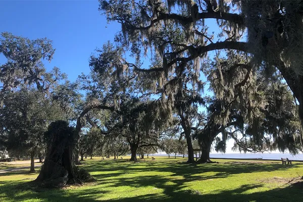 Calm and welcoming counseling practice environment for mindful mental wellness sessions in Mandeville Louisiana