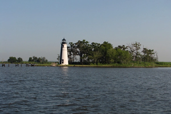 Psychoanalysis and mindful counseling session helping Madisonville Louisiana clients uncover emotional patterns and improve decision-making